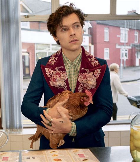 gucci advert 2019 harry styles|gucci campaign harry styles.